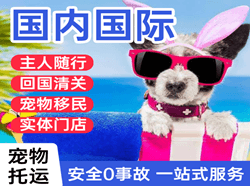 义乌机场快运国际宠物托运 【国
